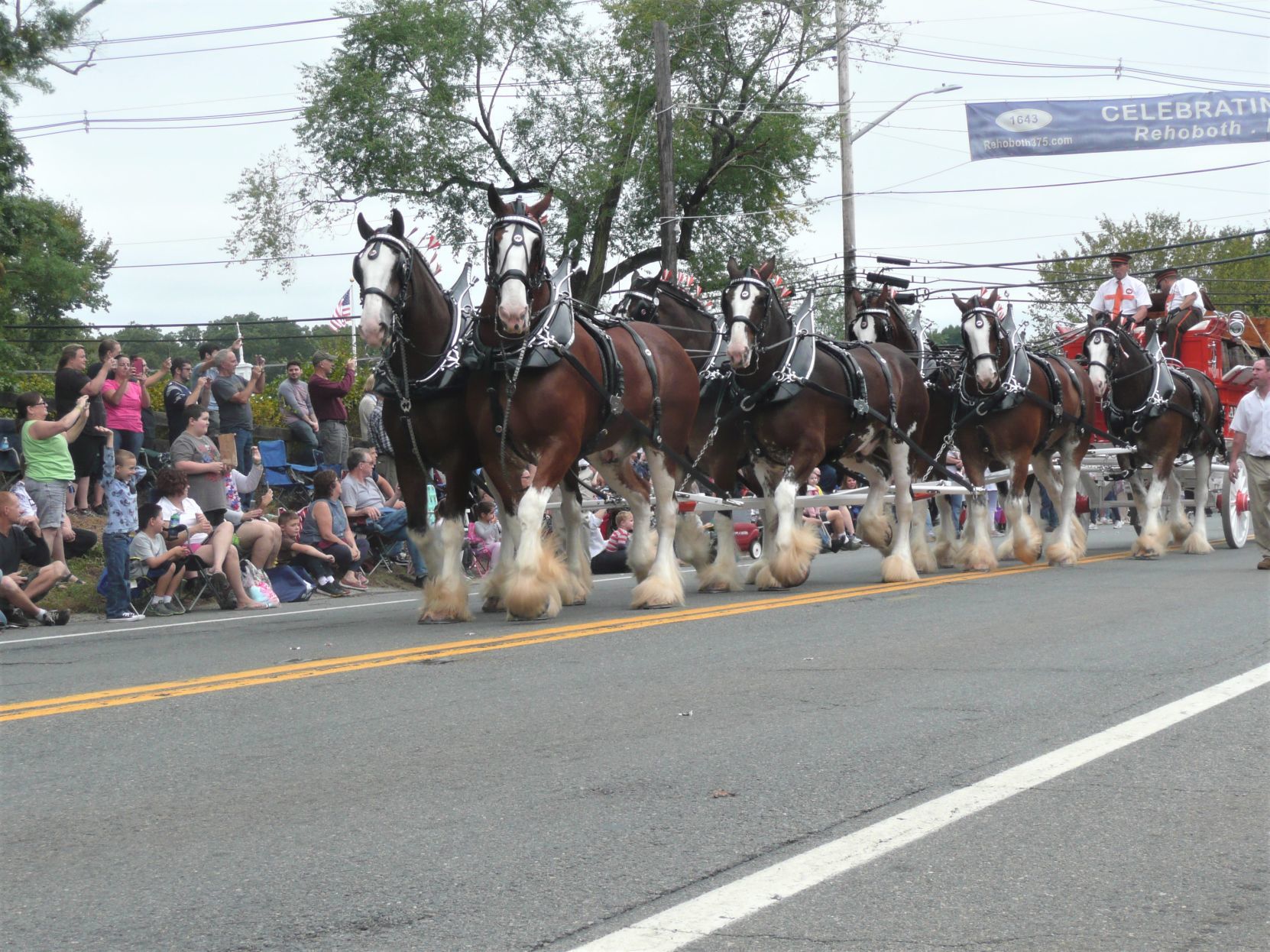 parade6